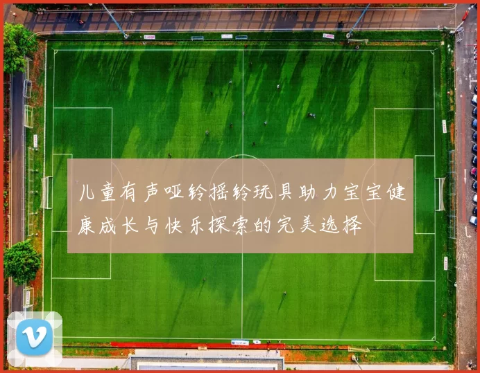 儿童有声哑铃摇铃玩具助力宝宝健康成长与快乐探索的完美选择
