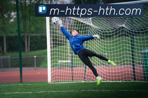 华体会APP 封面图